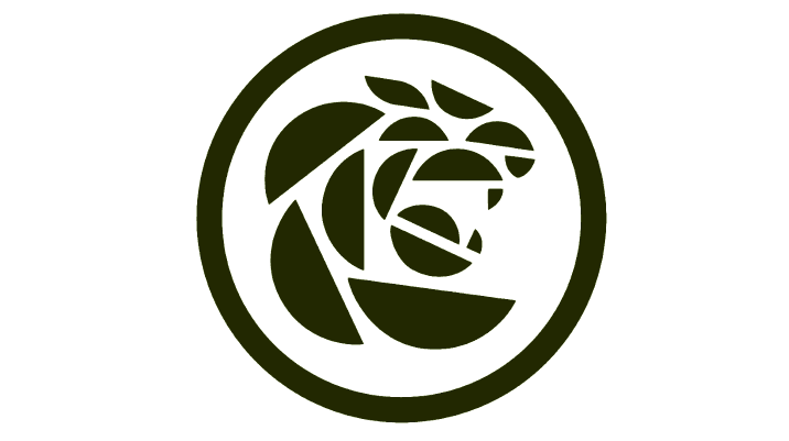 Logo of https://fastoo.com